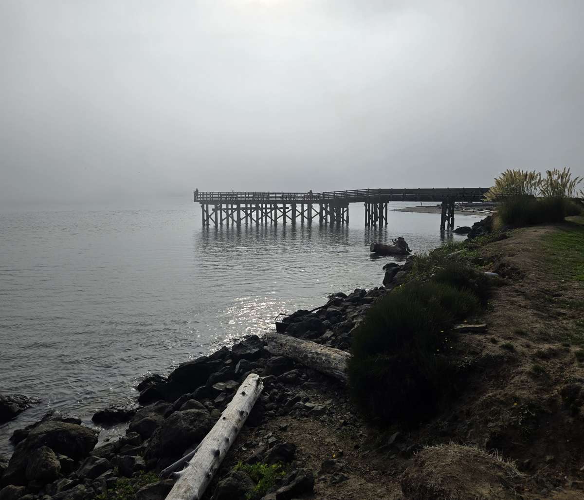 Wooden pier over calm water, with its far end hidden in fog.