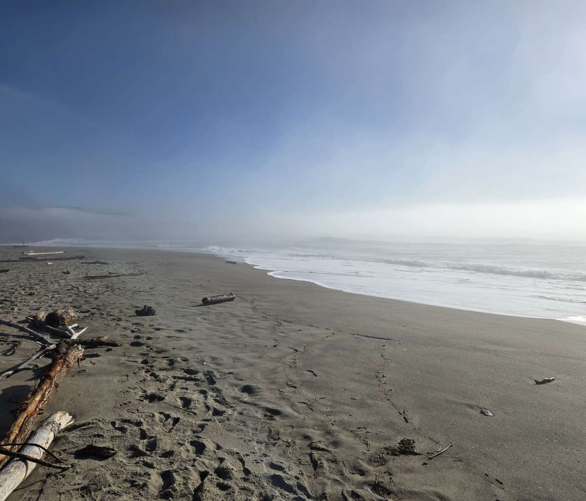 Footprints on a beach fading into bright coastal fog.