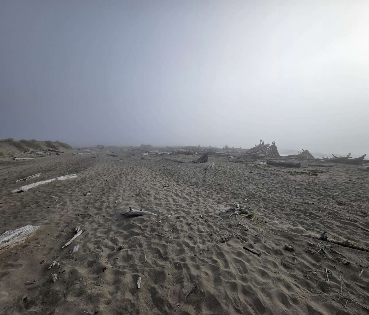 Sand, driftwood, and distant shapes partly hidden by fog.